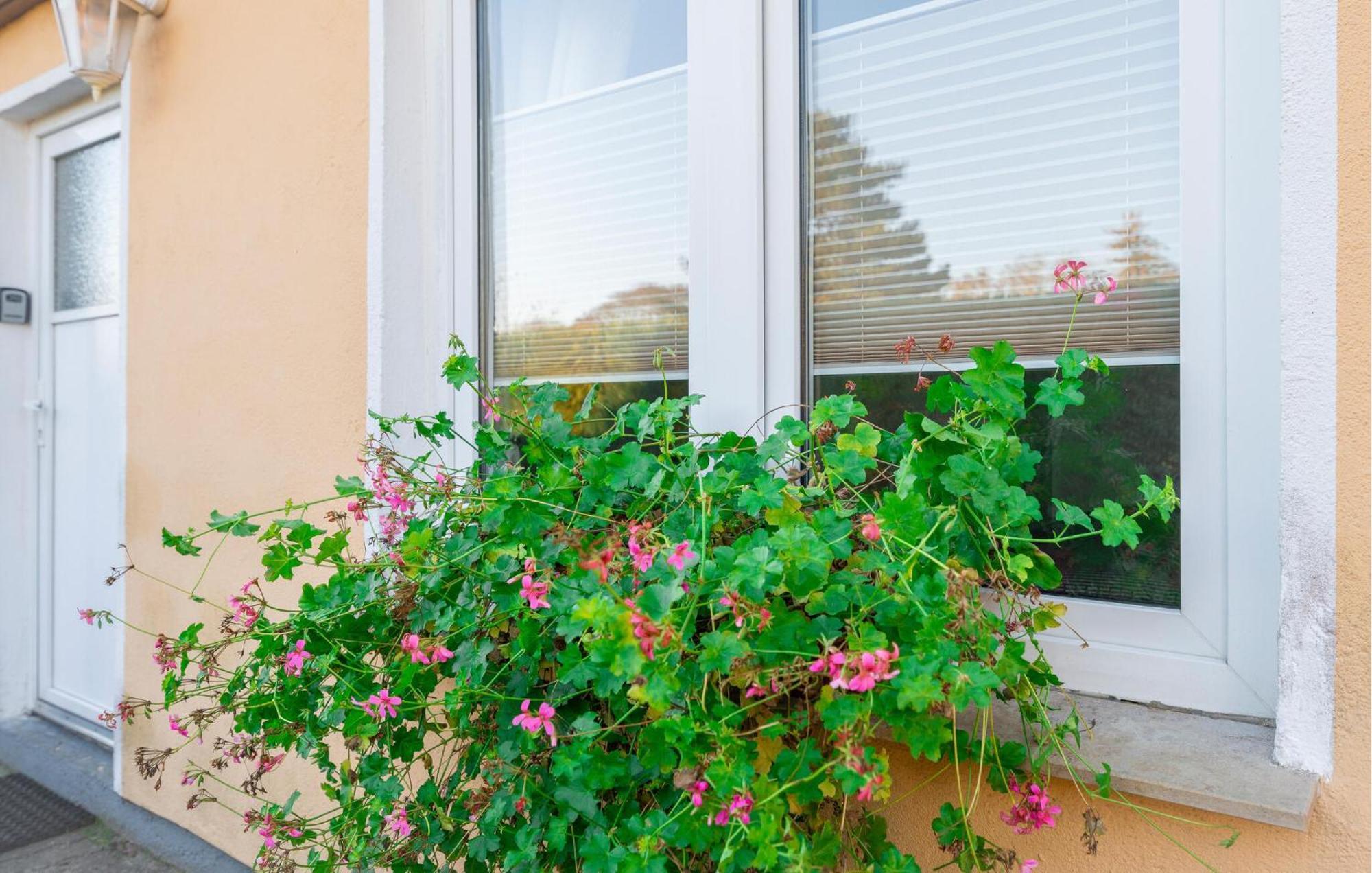 Awesome In With Kitchen Apartment Rostock